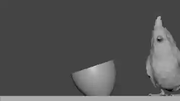 Free download Red Whisker Bird Test Animation video and edit with RedcoolMedia movie maker MovieStudio video editor online and AudioStudio audio editor onlin