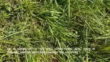 Free download Regenerative Grazing Technique video and edit with RedcoolMedia movie maker MovieStudio video editor online and AudioStudio audio editor onlin