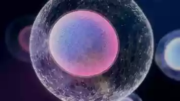 Free download Rehabilitation of Domestic Animals: Page 29 video and edit with RedcoolMedia movie maker MovieStudio video editor online and AudioStudio audio editor onlin