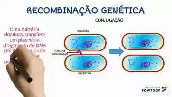 Free download reino monera video and edit with RedcoolMedia movie maker MovieStudio video editor online and AudioStudio audio editor onlin