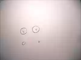 Free download Rejected emoticons video and edit with RedcoolMedia movie maker MovieStudio video editor online and AudioStudio audio editor onlin