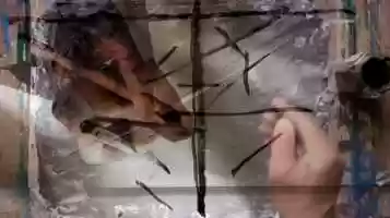 Free download REPORT 2 video and edit with RedcoolMedia movie maker MovieStudio video editor online and AudioStudio audio editor onlin