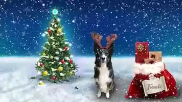 Free download RESCUE AND ANIMAL CARE XMAS VIDEO STARRING OUR TREACLE video and edit with RedcoolMedia movie maker MovieStudio video editor online and AudioStudio audio editor onlin