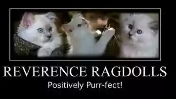 Free download REVERENCE MY MELODY video and edit with RedcoolMedia movie maker MovieStudio video editor online and AudioStudio audio editor onlin