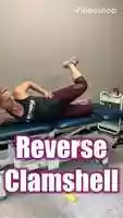 Free download Reverse Clamshells video and edit with RedcoolMedia movie maker MovieStudio video editor online and AudioStudio audio editor onlin