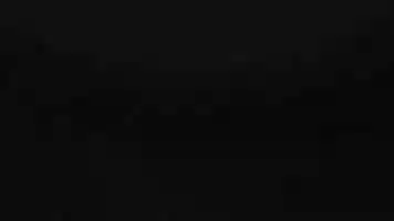 Free download Revised LE ANIMATION video and edit with RedcoolMedia movie maker MovieStudio video editor online and AudioStudio audio editor onlin