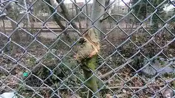 Free download Revisional Operation, 2018, 0154, Video video and edit with RedcoolMedia movie maker MovieStudio video editor online and AudioStudio audio editor onlin