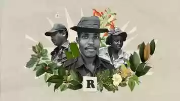 Free download Re:wild - What is a Ranger? video and edit with RedcoolMedia movie maker MovieStudio video editor online and AudioStudio audio editor onlin