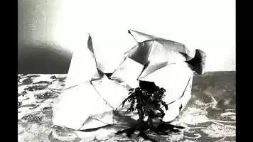 Free download Rhino End video and edit with RedcoolMedia movie maker MovieStudio video editor online and AudioStudio audio editor onlin