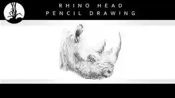 Free download Rhino Head Drawing video and edit with RedcoolMedia movie maker MovieStudio video editor online and AudioStudio audio editor onlin