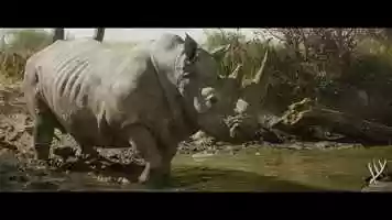 Free download RHINO : LIFE video and edit with RedcoolMedia movie maker MovieStudio video editor online and AudioStudio audio editor onlin