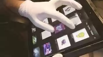 Free download rick and tattoo. artist by weschapo. video and edit with RedcoolMedia movie maker MovieStudio video editor online and AudioStudio audio editor onlin