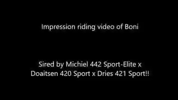 Free download Riding video of Boni - Sired by Michiel 442 Sport-Elite x Doaitsen 420 Sport x Dries 421 Sport video and edit with RedcoolMedia movie maker MovieStudio video editor online and AudioStudio audio editor onlin