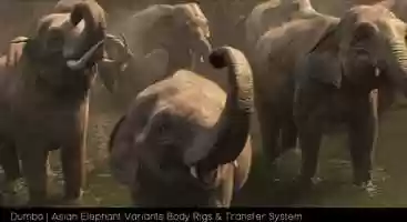 Free download Rigging Showreel 2019 video and edit with RedcoolMedia movie maker MovieStudio video editor online and AudioStudio audio editor onlin