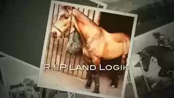 Free download RIP Land Logik video and edit with RedcoolMedia movie maker MovieStudio video editor online and AudioStudio audio editor onlin