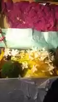 Free download R.I.P. Patriarchy? video and edit with RedcoolMedia movie maker MovieStudio video editor online and AudioStudio audio editor onlin