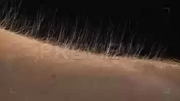 Free download Rising Arm Hairs Stock Video video and edit with RedcoolMedia movie maker MovieStudio video editor online and AudioStudio audio editor onlin