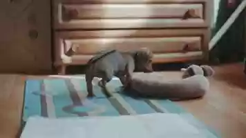 Free download Rita - FX9 Test (SLOG3.CINE) video and edit with RedcoolMedia movie maker MovieStudio video editor online and AudioStudio audio editor onlin