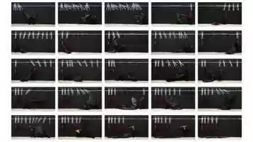 Free download Robin Rhode video and edit with RedcoolMedia movie maker MovieStudio video editor online and AudioStudio audio editor onlin