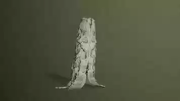 Free download Rocky Tree Creature video and edit with RedcoolMedia movie maker MovieStudio video editor online and AudioStudio audio editor onlin