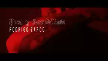 Free download Rodrigo Zarco - Peca y arrodllate (videoclip oficial) video and edit with RedcoolMedia movie maker MovieStudio video editor online and AudioStudio audio editor onlin