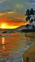 Free download Romance Sunset Classic #gif #michaello video and edit with RedcoolMedia movie maker MovieStudio video editor online and AudioStudio audio editor onlin