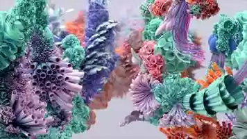 Free download Roots and Origins: LSO 2019/2020 video and edit with RedcoolMedia movie maker MovieStudio video editor online and AudioStudio audio editor onlin