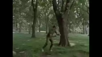 Free download Rotoanimillation video and edit with RedcoolMedia movie maker MovieStudio video editor online and AudioStudio audio editor onlin