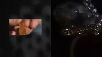 Free download Rough Cut video and edit with RedcoolMedia movie maker MovieStudio video editor online and AudioStudio audio editor onlin