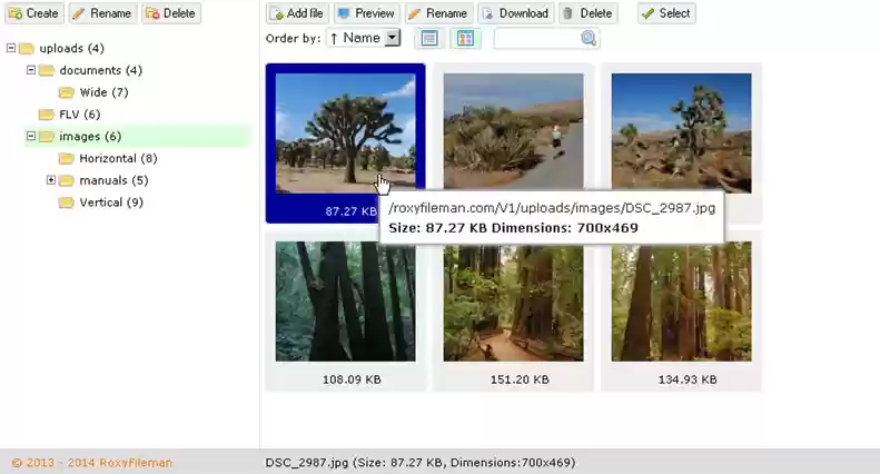 Download web tool or web app Roxy Fileman