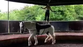 Free download Rptition technique video and edit with RedcoolMedia movie maker MovieStudio video editor online and AudioStudio audio editor onlin