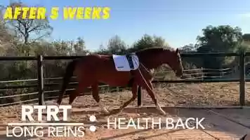 Free download RTRT Long Reins Course: THE 4 TRACKS video and edit with RedcoolMedia movie maker MovieStudio video editor online and AudioStudio audio editor onlin