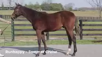 Free download Runhappy - Summer Cruise AS SEEN ON NBCSN video and edit with RedcoolMedia movie maker MovieStudio video editor online and AudioStudio audio editor onlin