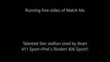 Free download Running free video of Watch Me - STER Stallion sired by Beart 411 Sport+Preferent x Rindert 406 Sport video and edit with RedcoolMedia movie maker MovieStudio video editor online and AudioStudio audio editor onlin