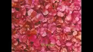 Free download Sabrina Claudio - About Time (Lyric Visual) video and edit with RedcoolMedia movie maker MovieStudio video editor online and AudioStudio audio editor onlin