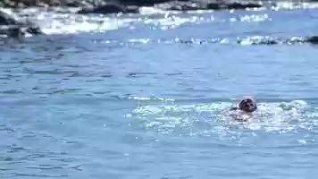 Free download ή ά Safe Water Sports 3 ί- Kό 9 (ί)-Long version video and edit with RedcoolMedia movie maker MovieStudio video editor online and AudioStudio audio editor onlin