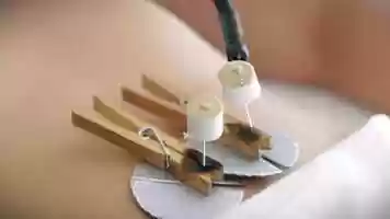 Free download Sage Wellness Within.mov video and edit with RedcoolMedia movie maker MovieStudio video editor online and AudioStudio audio editor onlin