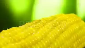 Free download Salt On Corn Stock Video video and edit with RedcoolMedia movie maker MovieStudio video editor online and AudioStudio audio editor onlin