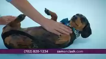 Free download Sam  Ash Injury Law Rocky Commercial video and edit with RedcoolMedia movie maker MovieStudio video editor online and AudioStudio audio editor onlin