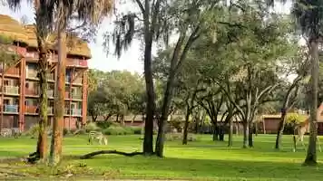 Free download Sanaa at Disneys Animal Kingdom! video and edit with RedcoolMedia movie maker MovieStudio video editor online and AudioStudio audio editor onlin