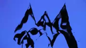 Free download Sand morphing video and edit with RedcoolMedia MovieStudio video editor online and AudioStudio audio editor onlin