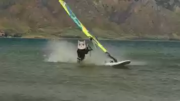 Free download Sandy cats video and edit with RedcoolMedia movie maker MovieStudio video editor online and AudioStudio audio editor onlin