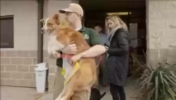 Free download Santa Came Early for the Garland Animal Shelter video and edit with RedcoolMedia movie maker MovieStudio video editor online and AudioStudio audio editor onlin