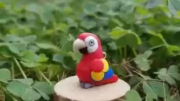 Free download Scarlet Macaw Speedsculpt video and edit with RedcoolMedia movie maker MovieStudio video editor online and AudioStudio audio editor onlin