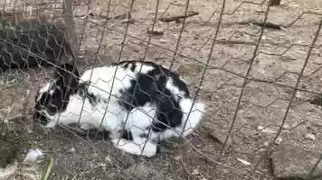 Free download Schuyler Road Farms video and edit with RedcoolMedia movie maker MovieStudio video editor online and AudioStudio audio editor onlin