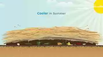 Free download Science Animation about Permaculture video and edit with RedcoolMedia movie maker MovieStudio video editor online and AudioStudio audio editor onlin