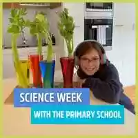 Free download Science Week 2021 - Primary School video and edit with RedcoolMedia movie maker MovieStudio video editor online and AudioStudio audio editor onlin