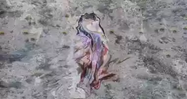 Free download SCINTILLAE Trailer video and edit with RedcoolMedia movie maker MovieStudio video editor online and AudioStudio audio editor onlin