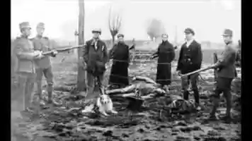 Free download Score Themes The Wire by Eyra Moon video and edit with RedcoolMedia movie maker MovieStudio video editor online and AudioStudio audio editor onlin