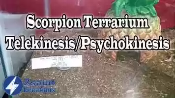 Free download Scorpion Terrarium - Telekinesis/Psychokinesis video and edit with RedcoolMedia movie maker MovieStudio video editor online and AudioStudio audio editor onlin